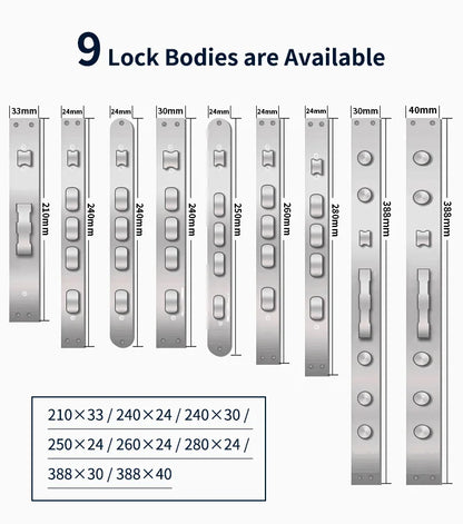 Smart Lock Face Recognition, Fingerprint & Password